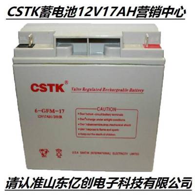 CSTK蓄电池6-GFM-17 12V17AH 美国山特免维护电池UPS/EPS直流屏设备