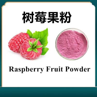 树莓果粉 食品饮品原料 斯诺特生物 支持拿样测试