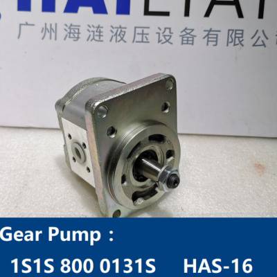 Gear pump 1S1S 800 0131S 油泵齿轮泵