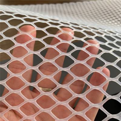 小孔塑料平网 塑料养殖网 1-2cm网孔塑料平网