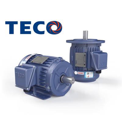 东元电机11KW4极 TECO品牌AEMB3N TEF3160M-4替代AEEFF3马达