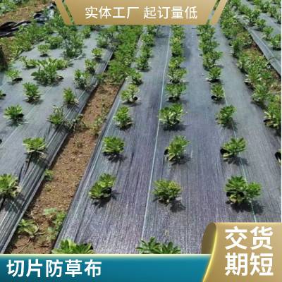 90克打孔除草布 打孔农用PP除草布两米五米宽园艺地布