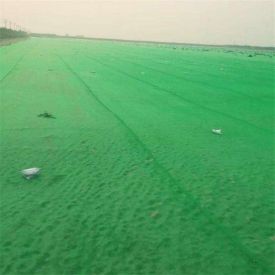 工地盖土网 塑料防尘 绿色遮阳网