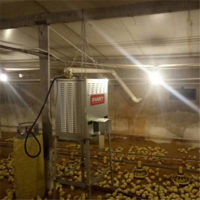 车厘子种植冬季保温加热燃气热风机生产厂家