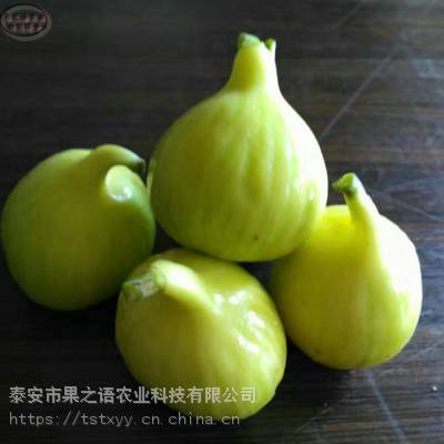 ޻硢ɫ޻硢ɫ޻