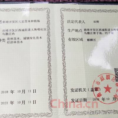 林木种子生产经营许可证