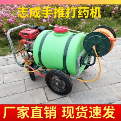 柴油动力推车打药机3WZ-160型果园大棚打药手推车 绿化洒水杀虫机