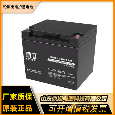 科华6-GFM-65铅酸蓄电池12V6***H免维护UPS不间断电源用蓄电池