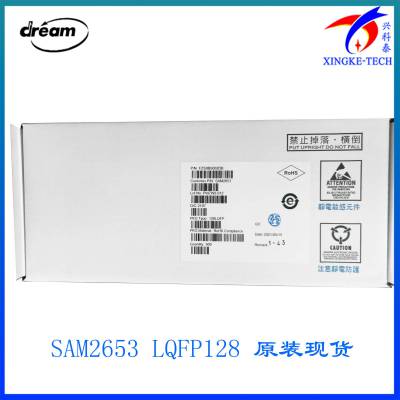 SAM2653 DREAM芯片音频IC应用于电子琴 DSP音频芯片