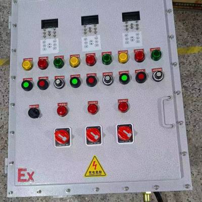 防爆配电箱 BXM(D) 照明动力仪表粉尘户外插座箱 300*400