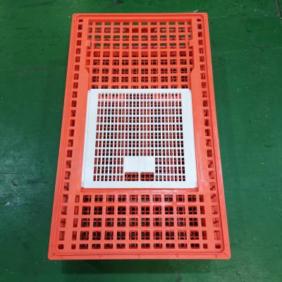 结实耐用的塑料成鸡运输笼子周转灵活方便