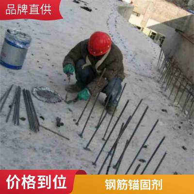 改性灌注灌钢胶 A级环氧注射式植筋胶 钢筋锚固胶