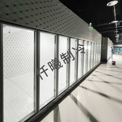 双层保温玻璃控温专业定制自定温度展览仓储式后补式冷库
