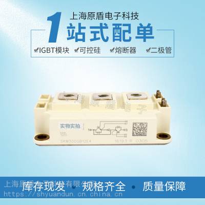 Ӧſ SKM300GB12E4ģ