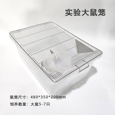 河南智科实验室大鼠饲养笼ss4大鼠笼pp材质白色不锈钢网盖