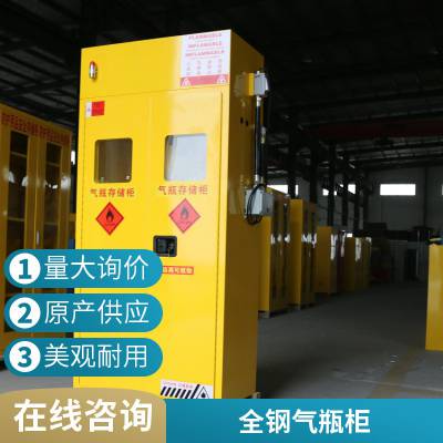 杭州大学实验室氢气双层防爆气瓶柜 设有全自动报警系统-成霖