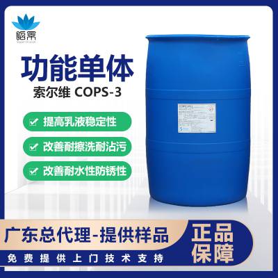 索尔维COPS-3 烯丙基磷酸酯铵盐 聚合稳定剂 减少出渣 改善耐擦洗性