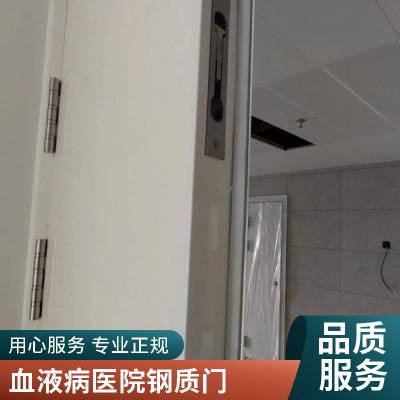 钢制洁净门 厂房无尘车间医院不锈钢钢制门 钢质门颜色可选