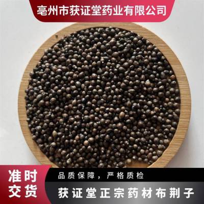 获证堂正宗药材布荆子 无硫中药材黄金子 原材料五指柑出售