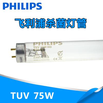 PHILIPSɱƹTUV 75W