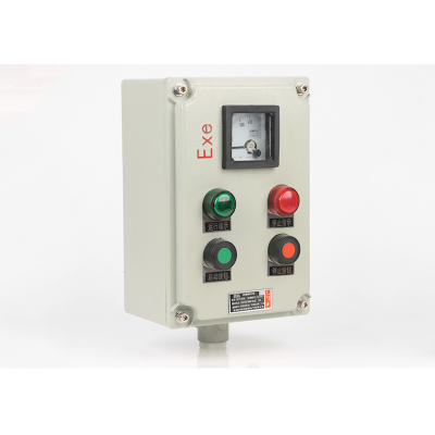 BZC51-A2D2ʽ