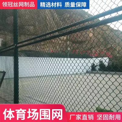 笼式足球场高强度围网_领冠金属框架式隔离网_学校操场隔离网现货