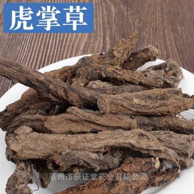 溪畔秋牡丹 干货新货出售虎掌草中药材原生药材无硫