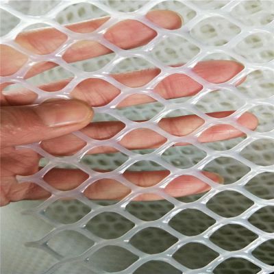 聚乙烯塑料网 塑料网带图片 小鸭苗育雏用多大的网