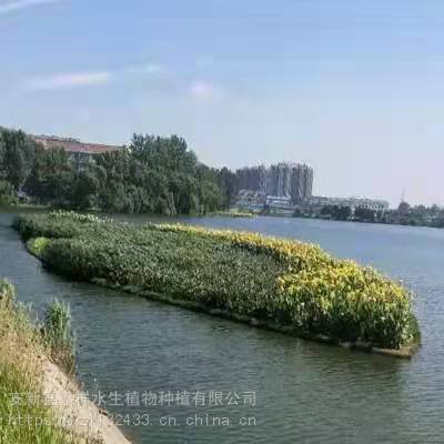 河北复合纤维生态浮岛浮动湿地,生物净净化水质 定制造型灵活