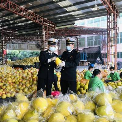 泉州出口冷冻生鲜 水果蔬菜到土库曼斯坦土库曼巴西 时效8-14天直达中亚俄罗斯