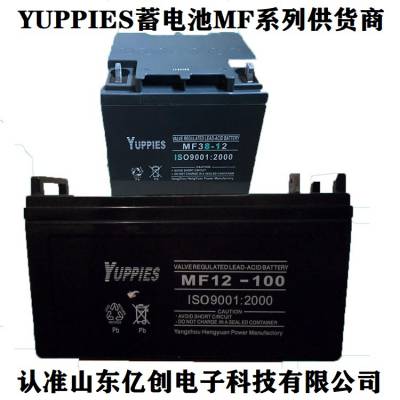 YUPPIES蓄电池NP200-12 NP12-200优佩斯蓄电池12V200AH铅酸阀控式