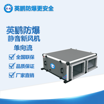 英鹏防爆新风机大风量静音风机单向流 新风机