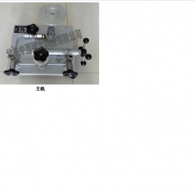 活塞式压力计 ( 1-60MPa 0.05) 型号 XT10/M231614库号 M231614
