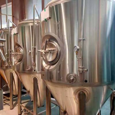 500L精酿啤酒设备 精酿啤酒设备生产厂家 自酿啤酒设备一套多少钱