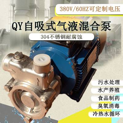40QY-6SSʽˮ豸