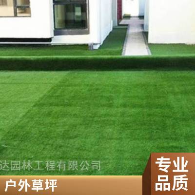 冷季型四季青草皮 大型草坪基地 种植经验富 各种草籽草种