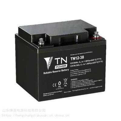 天能蓄电池TN12-38E 12V38AH铅酸免维护直流屏电瓶UPS备用电源