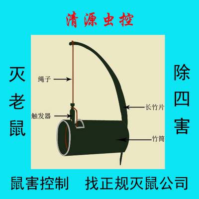 清源虫控解答：养殖场老鼠该如何***？镇江丹阳句容扬中