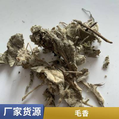 出售中药材***格寻骨风 中药材清骨风功效作用猫耳朵别名图片