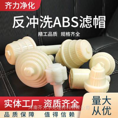 巢湖 石英砂树脂过滤器 塑料ABS排水帽 滤头滤帽 过滤水帽