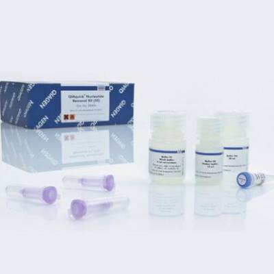 Qiagen 28304 DNAȡԼ 50T