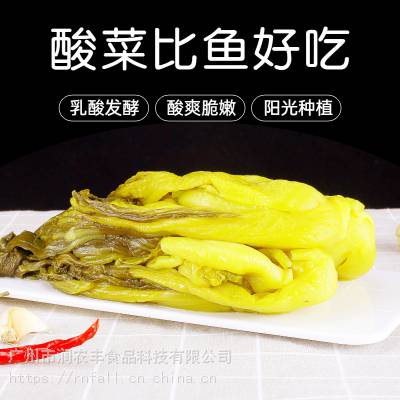 正品罗大嫂小叶芥菜潮汕风味新鲜脆嫩无筋鱼酸菜老坛腌制每袋500g