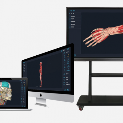 医学人体解剖软件系统 3D人体解剖实训系统