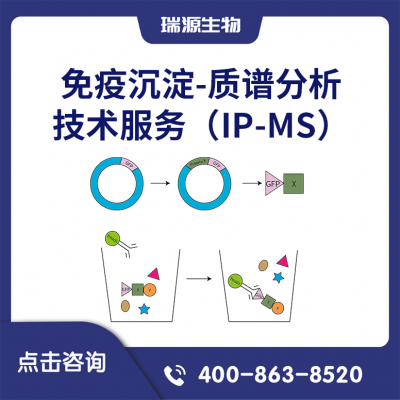 ***-׷IP-MS