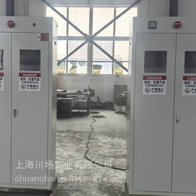 苏州【CZQ103丙烷气瓶储存柜】存放3瓶/40升-大学实验室专业