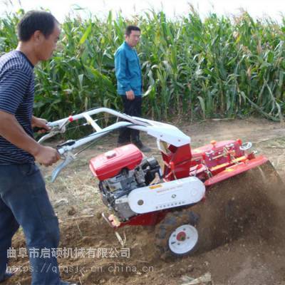 启硕手扶式农用柴油耕地机 水冷旋耕犁地四驱微耕机 大棚自走式汽油微耕机