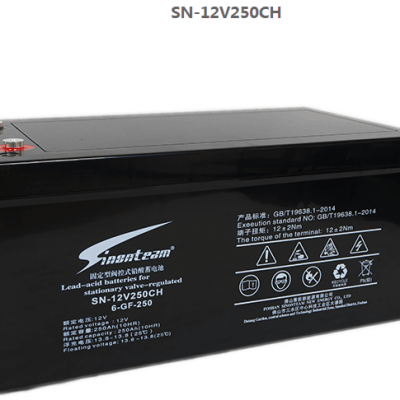 SN-12V250CH¹6-GF-25012V250AH󱸵Դר
