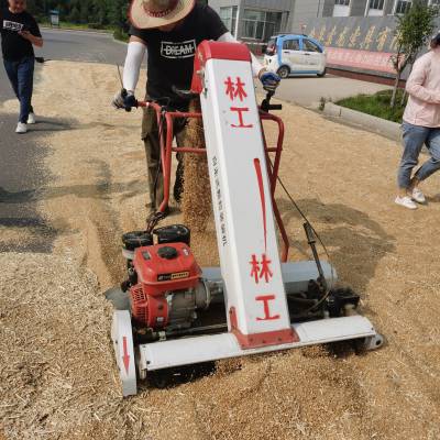 大豆装袋机 粮食装袋机工作视频