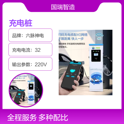 六脉神电 高效能充电桩 32A充电电流 220V输入输出