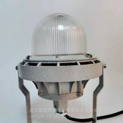 LED防爆灯BYA-DGM-50W 防腐WF2 防爆EXD ⅡCT6 燃气热电厂照明灯具